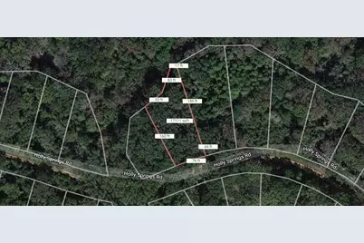 Lot 12 Holly Springs Road, Normangee, TX 77871 - Photo 3