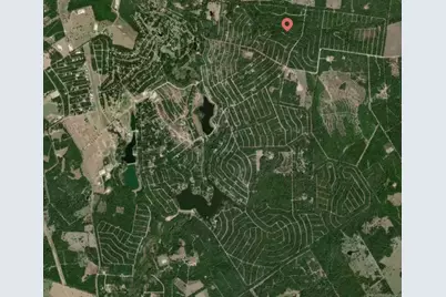 Lot 12 Holly Springs Road, Normangee, TX 77871 - Photo 5