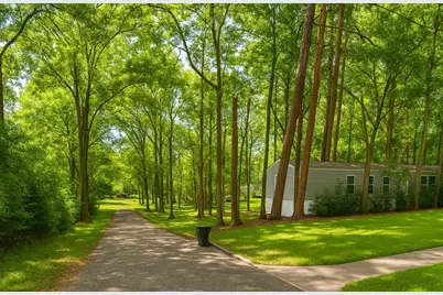 203 Sheila Street, Jasper, TX 75951 - Photo 17