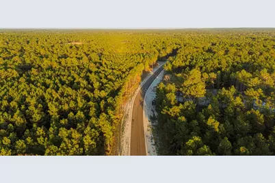 039 Sportsman Retreat Road, Onalaska, TX 77360 - Photo 9