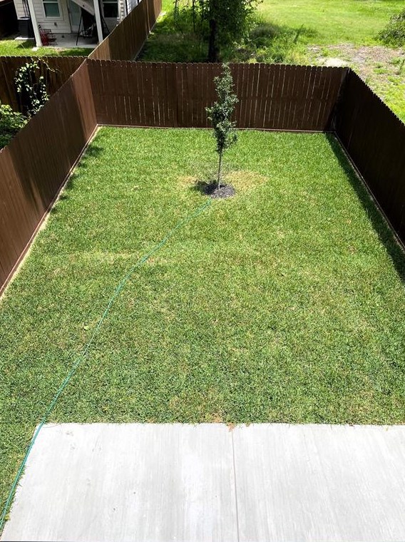 7904 Tower, Houston TX  exterior