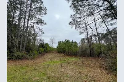 4 Fm 2626, Newton, TX 75966 - Photo 7