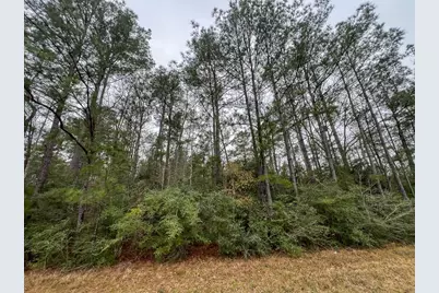 4 Fm 2626, Newton, TX 75966 - Photo 5