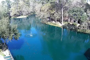 238 Litchfield Ln, Houston, TX 77024 - Photo 21