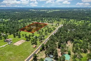 31914 Boone Rd, Waller, TX 77484 - Photo 1