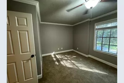 79 Anise Tree Place, The Woodlands, TX 77382 - Photo 27