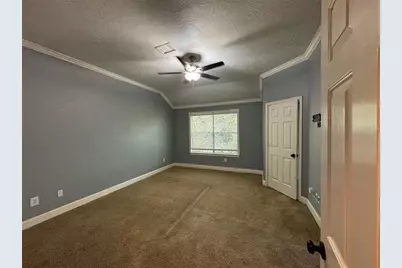 79 Anise Tree Place, The Woodlands, TX 77382 - Photo 19