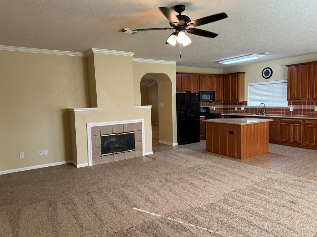 21307 Springbrook Hollow Ct, Spring TX  77379-1944 exterior