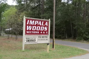 Lot 23 Gnu St, Onalaska, TX 77360 - Photo 1