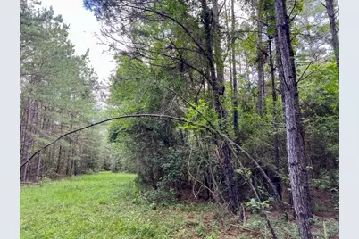 1 Fm 2793, New Waverly, TX 77358 - Photo 3