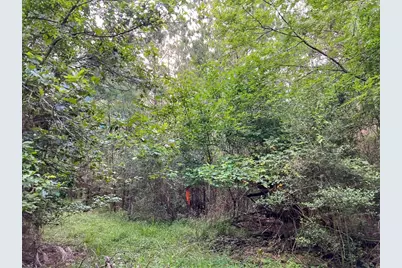 1 Fm 2793, New Waverly, TX 77358 - Photo 11