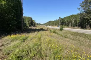 Tbd Hwy 105, Cleveland, TX 77328 - Photo 1