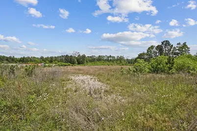 0 Farm To Market Road 1314, Porter, TX 77365 - Photo 5