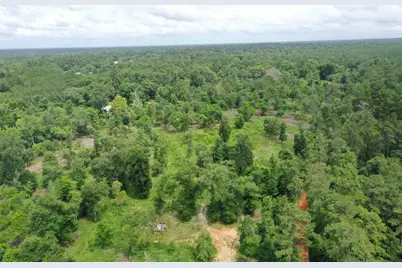 Tbd Snell Road, Livingston, TX 77351 - Photo 15