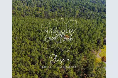 046 Tumbleweed Ranch Rd Road, Onalaska, TX 77360 - Photo 1