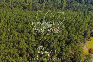 046 Tumbleweed Ranch Rd Rd, Onalaska, TX 77360 - Photo 1