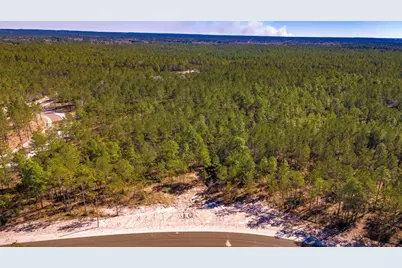 046 Tumbleweed Ranch Rd Road, Onalaska, TX 77360 - Photo 7