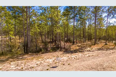 046 Tumbleweed Ranch Rd Road, Onalaska, TX 77360 - Photo 5