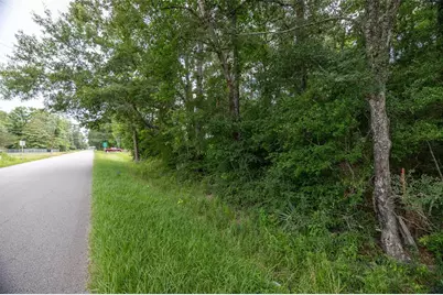 Tbd A1 County Road 318, Cleveland, TX 77327 - Photo 11