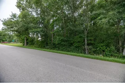 Tbd A1 County Road 318, Cleveland, TX 77327 - Photo 5