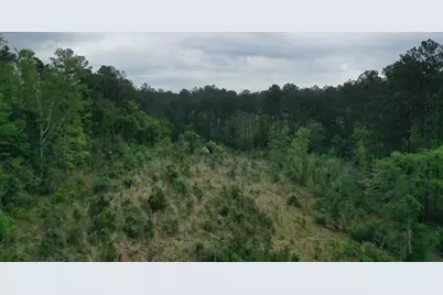 Tract 4 Cr 255, San Augustine, TX 75972 - Photo 9