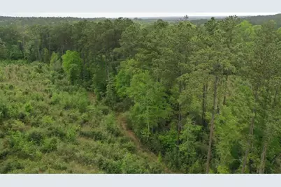 Tract 4 Cr 255, San Augustine, TX 75972 - Photo 7