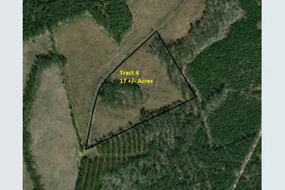 Tract 4 Cr 255, San Augustine, TX 75972 - Photo 1