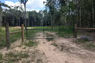 7453 Clark Rd, Plantersville, TX 77363 - Photo 1