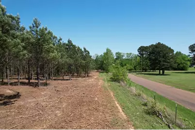 Tbd-G Lincoln Springs Rd, Gladewater, TX 75647 - Photo 9