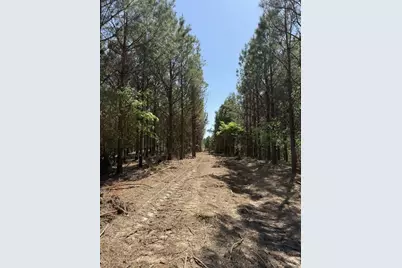 Tbd-G Lincoln Springs Rd, Gladewater, TX 75647 - Photo 13