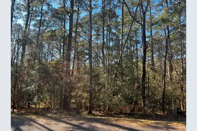 61 Sunny Hill Drive, Coldspring, TX 77331 - Photo 1