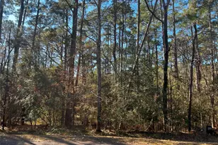 61 Sunny Hill Dr, Coldspring, TX 77331 - Photo 1