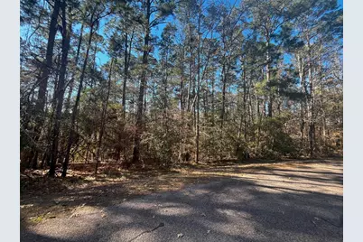 61 Sunny Hill Drive, Coldspring, TX 77331 - Photo 3