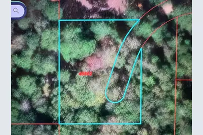 260 Beverly, Shepherd, TX 77371 - Photo 3