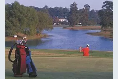 20660 Lavone Drive, Porter, TX 77365 - Photo 47