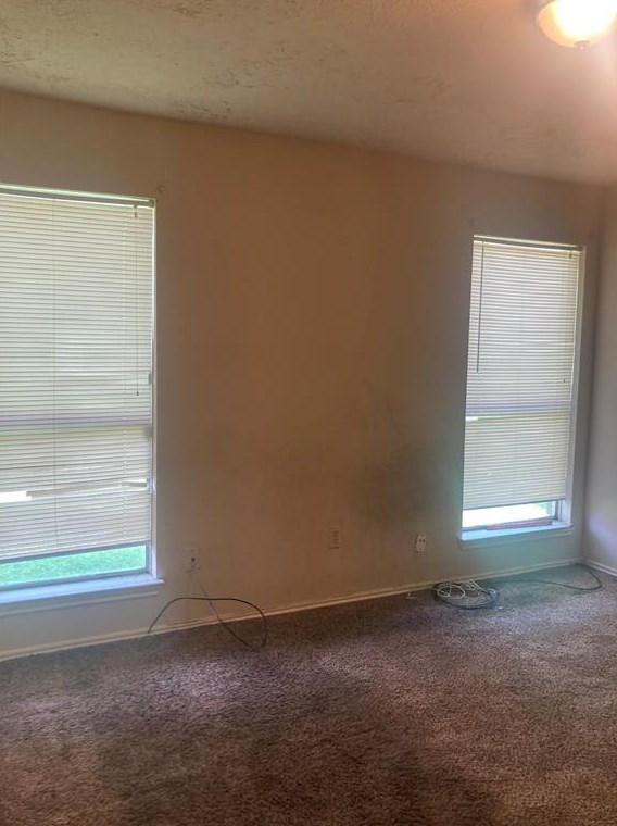 7007 Marisol Dr, Houston TX  77083-2305 exterior