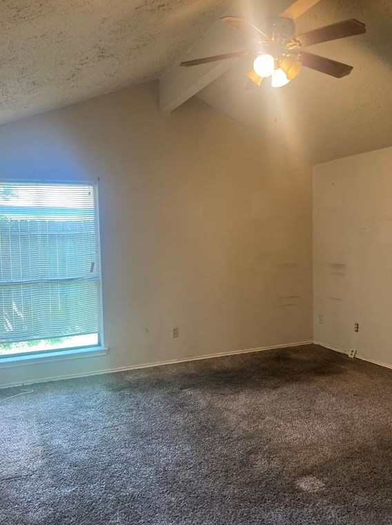 7007 Marisol Dr, Houston TX  77083-2305 exterior