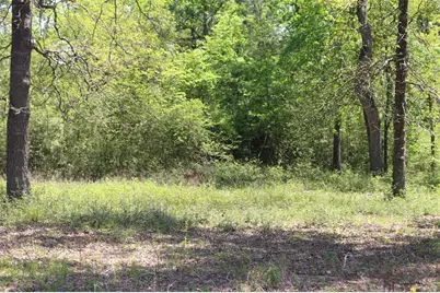 Tract 73 Private Road 1315, Centerville, TX 75833 - Photo 11