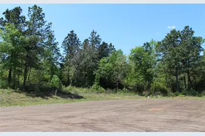 Tract 73 Private Road 1315, Centerville, TX 75833 - Photo 7