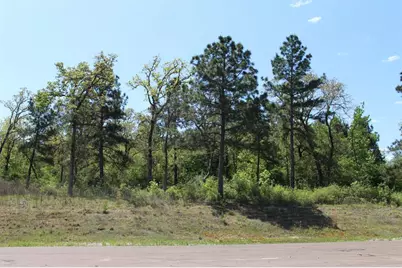 Tract 73 Private Road 1315, Centerville, TX 75833 - Photo 9