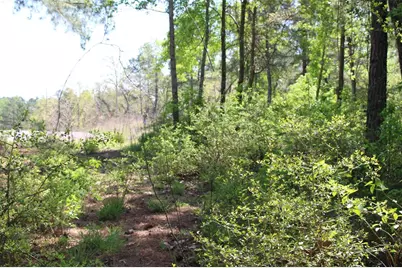 Tract 73 Private Road 1315, Centerville, TX 75833 - Photo 15