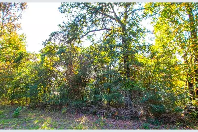 5 Lots Hickory Ridge Drive, Trinity, TX 78562 - Photo 7