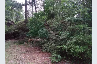 Lot 25 Gnu Street, Onalaska, TX 77360 - Photo 25