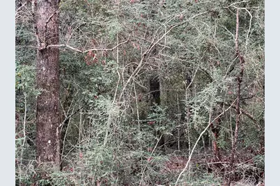 Tbd Road 2723, Cleveland, TX 77327 - Photo 11