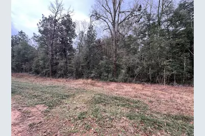 Tbd Road 2723, Cleveland, TX 77327 - Photo 3