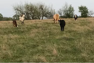 5796 Hurtig Road, Bleiblerville, TX 78931 - Photo 25