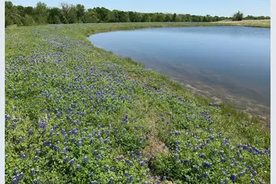 5796 Hurtig Road, Bleiblerville, TX 78931 - Photo 1