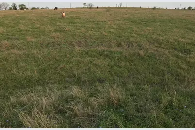 5796 Hurtig Road, Bleiblerville, TX 78931 - Photo 17