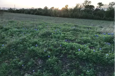 5796 Hurtig Road, Bleiblerville, TX 78931 - Photo 11