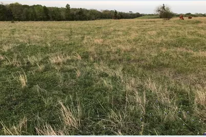 5796 Hurtig Road, Bleiblerville, TX 78931 - Photo 19